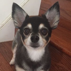 Meet your Posher, Djenifer